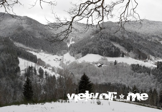 Black Forest