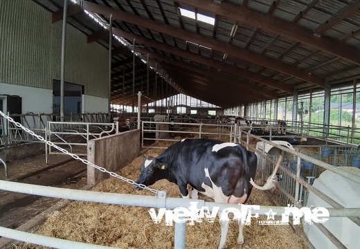 The milk producers