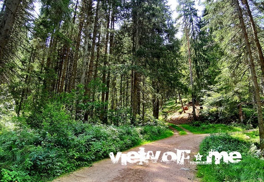 Source of Zindelstein