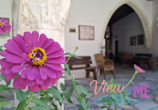 Under wine and food tasting tour