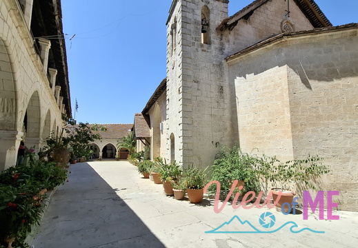 Under wine and food tasting tour