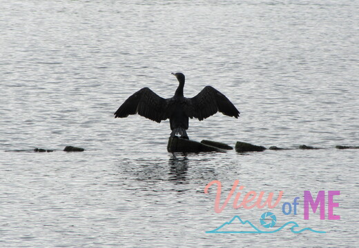 Natural Attractions